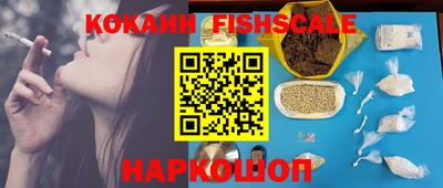 стаф Гусев