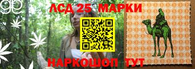 стаф Гусев