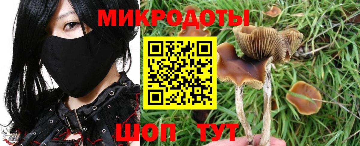 Нефтеюганск  Галлюциногенные грибы прущие грибы  Вход с VPN 